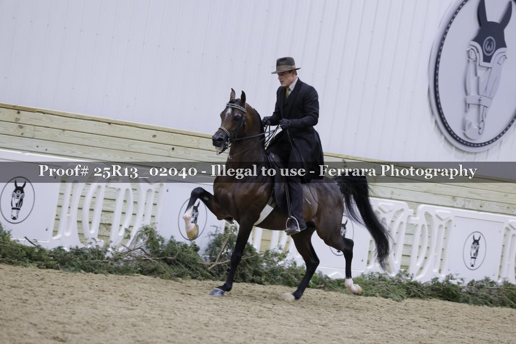 Proof Number 25R13_02040