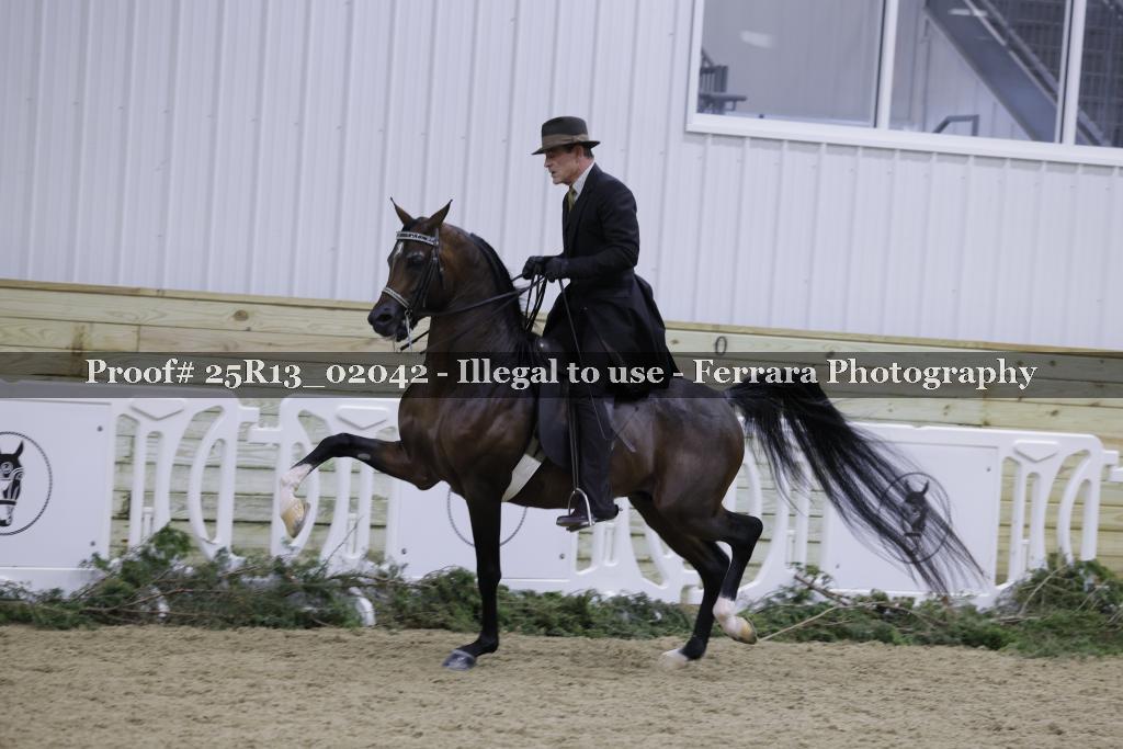 Proof Number 25R13_02042