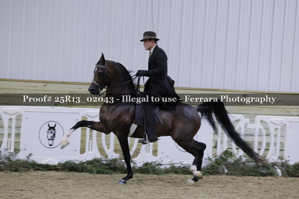 Proof Number 25R13_02043