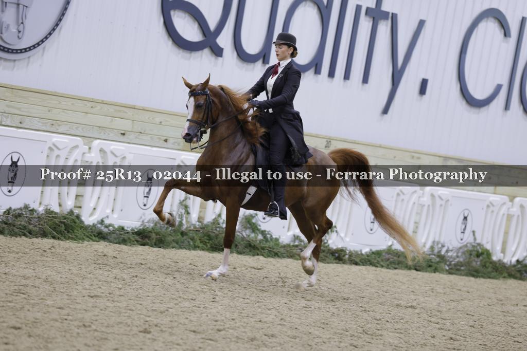 Proof Number 25R13_02044