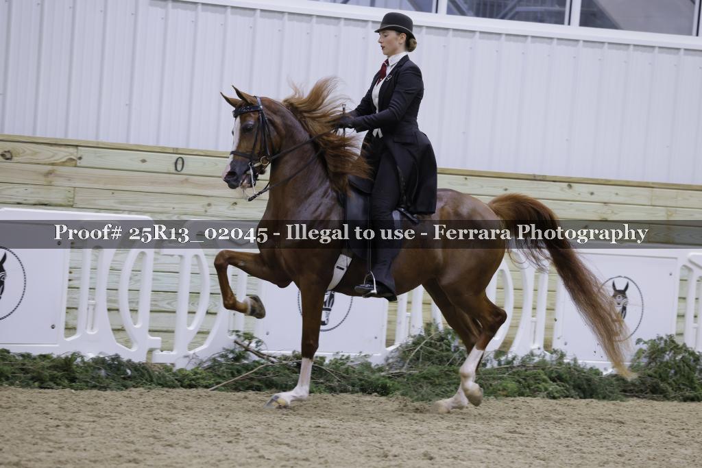 Proof Number 25R13_02045