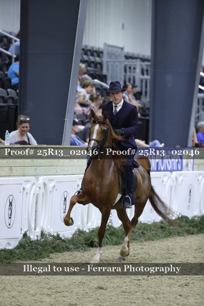 Proof Number 25R13_02046