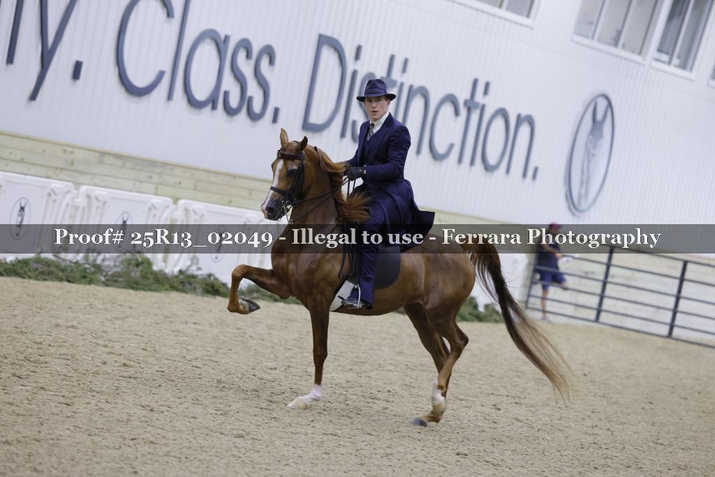 Proof Number 25R13_02049