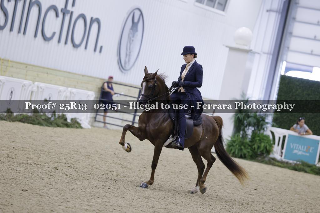 Proof Number 25R13_02051