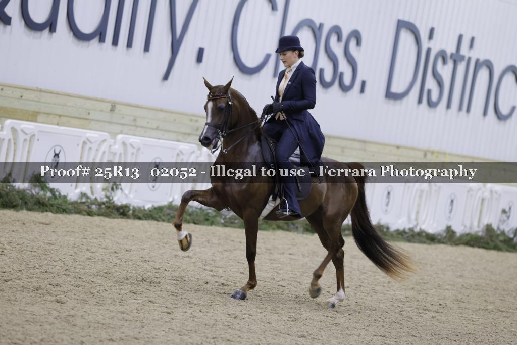 Proof Number 25R13_02052