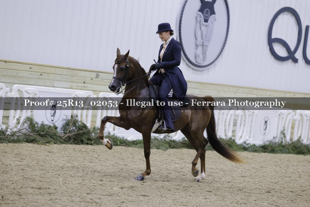 Proof Number 25R13_02053