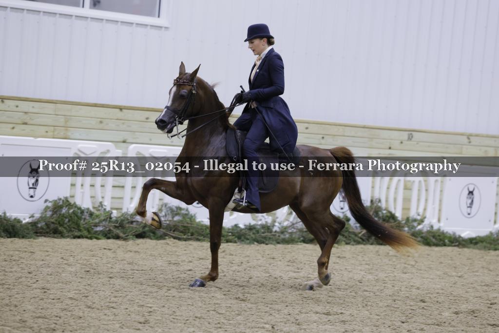 Proof Number 25R13_02054