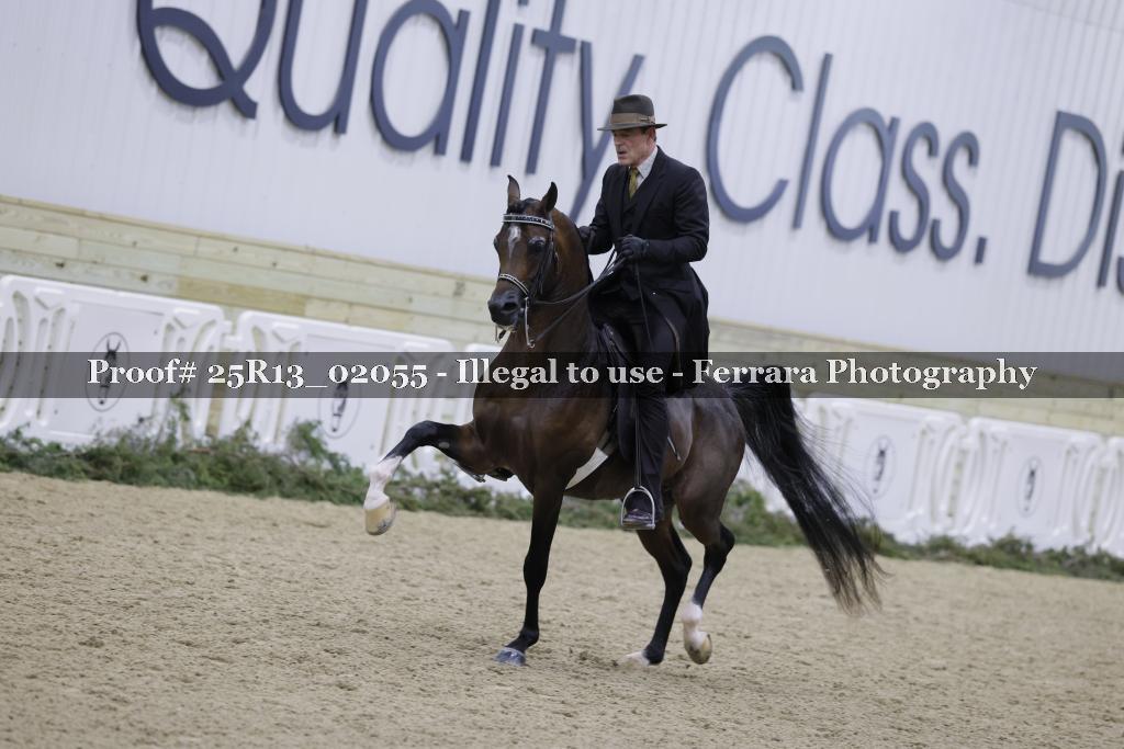 Proof Number 25R13_02055