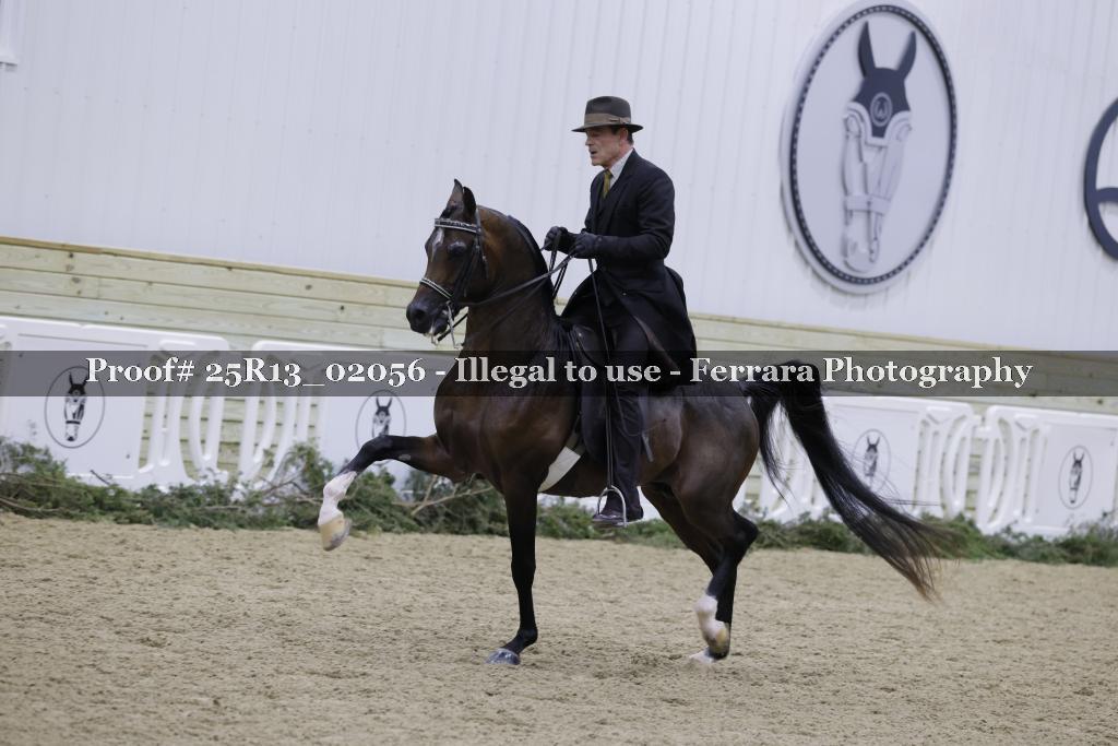 Proof Number 25R13_02056