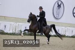 25R13_02056 thumbnail