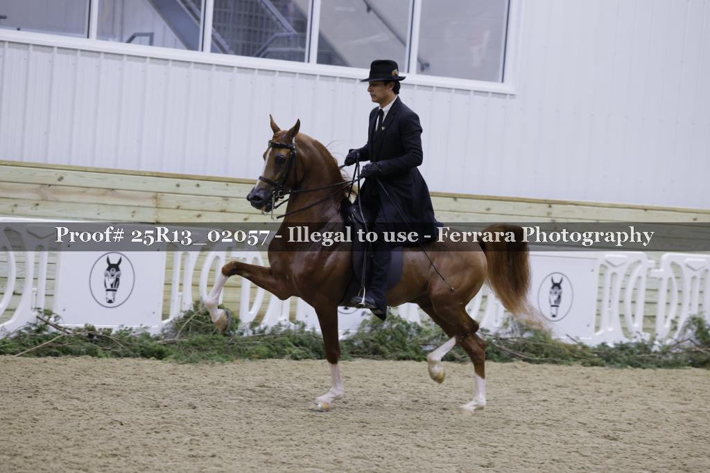 Proof Number 25R13_02057
