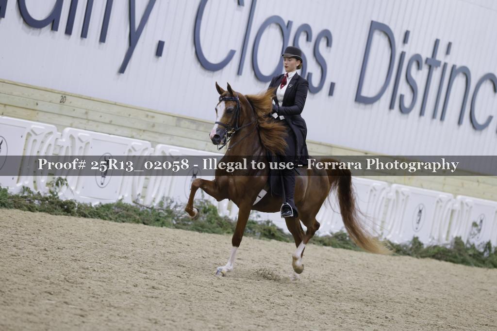 Proof Number 25R13_02058