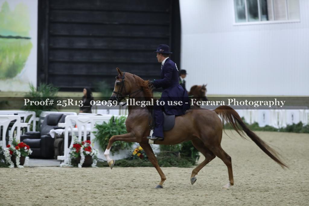 Proof Number 25R13_02059