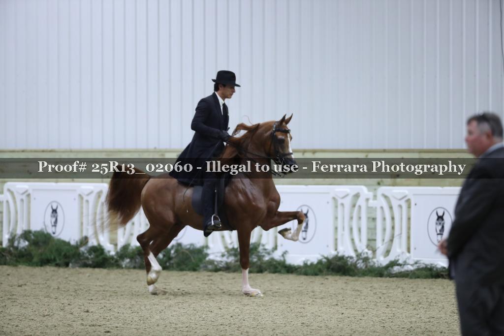 Proof Number 25R13_02060