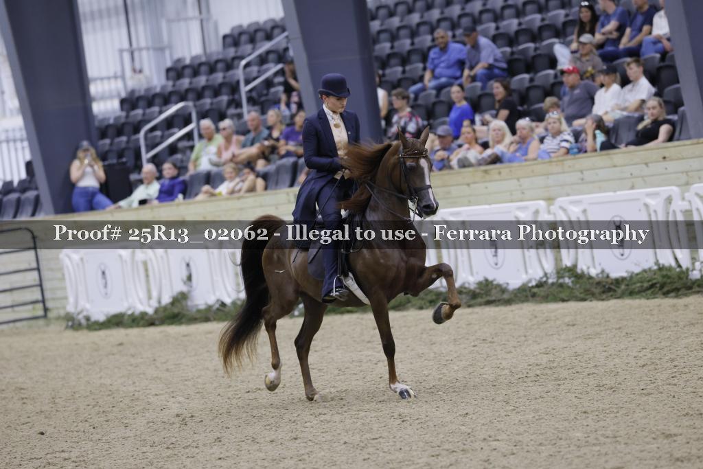 Proof Number 25R13_02062