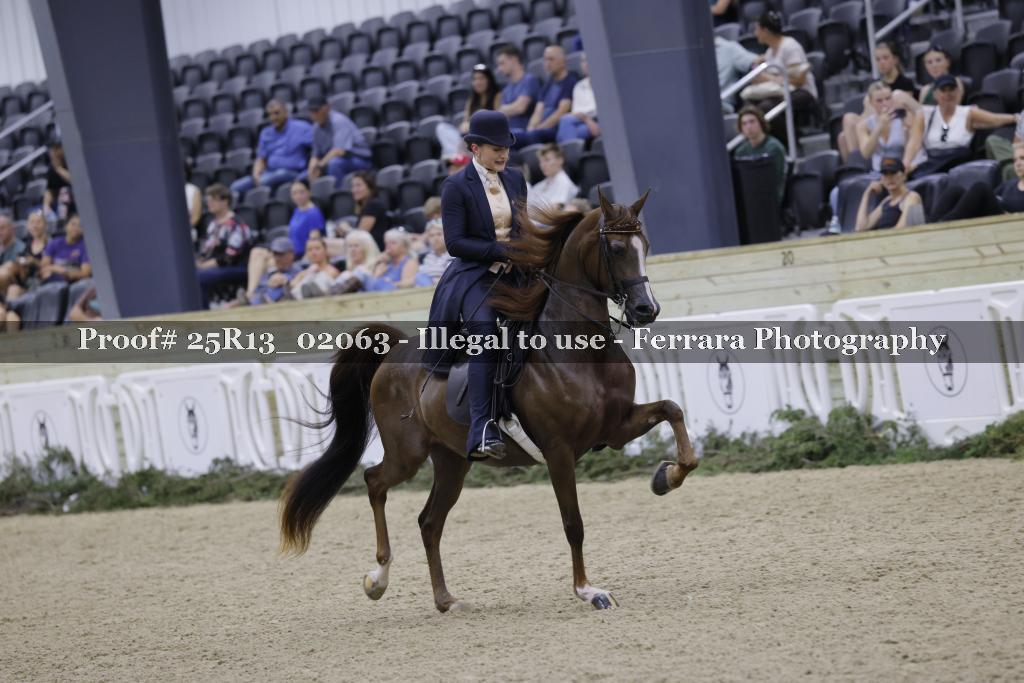 Proof Number 25R13_02063