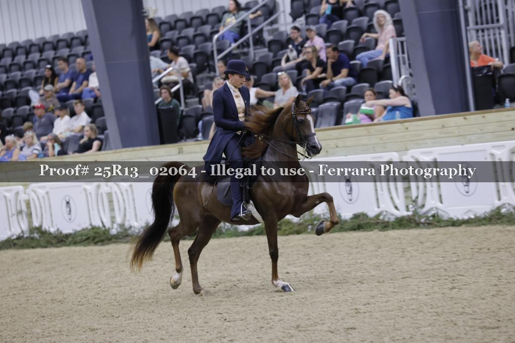 Proof Number 25R13_02064