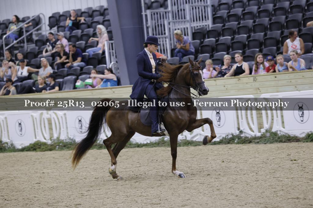 Proof Number 25R13_02065