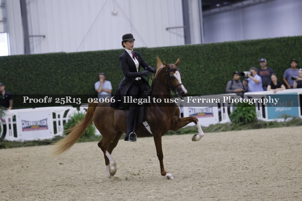 Proof Number 25R13_02066