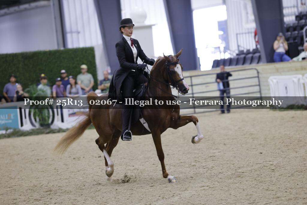 Proof Number 25R13_02067