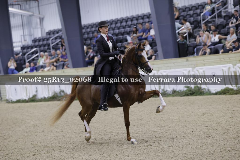 Proof Number 25R13_02068