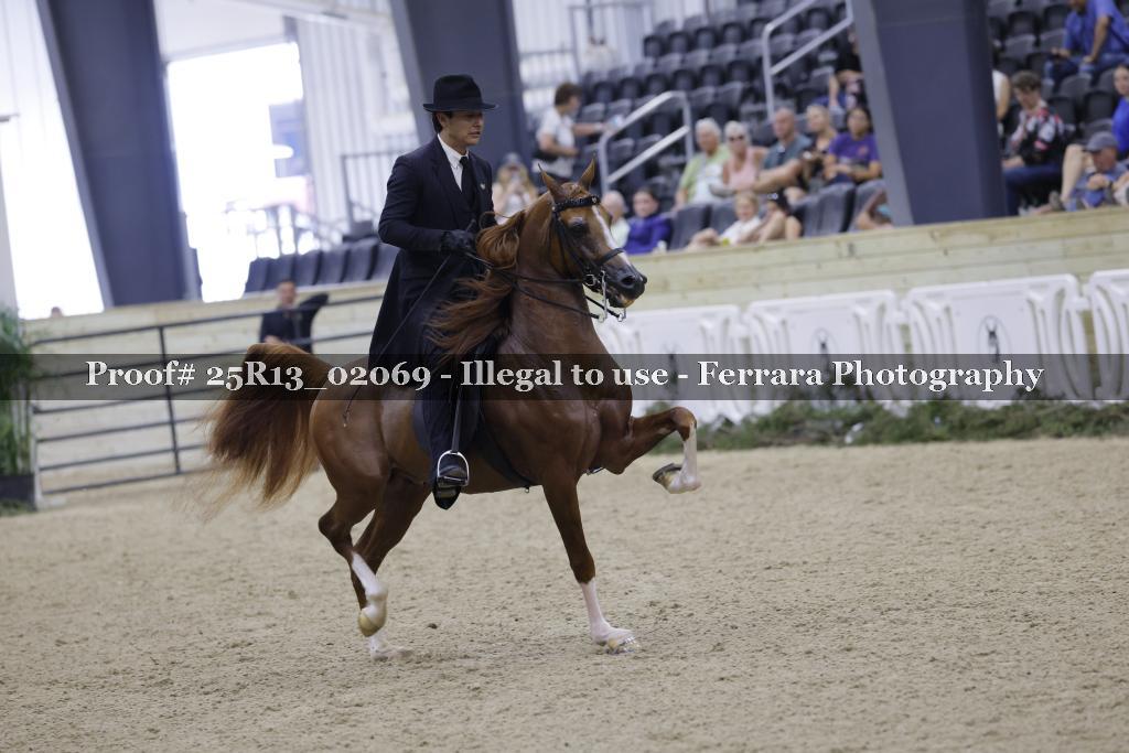 Proof Number 25R13_02069
