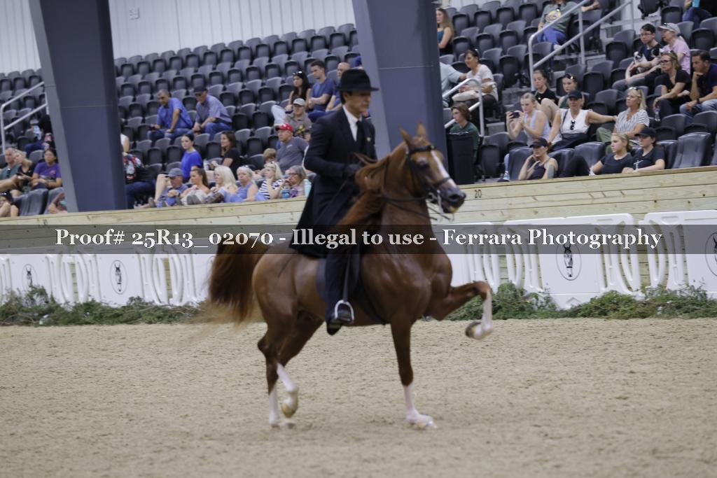 Proof Number 25R13_02070