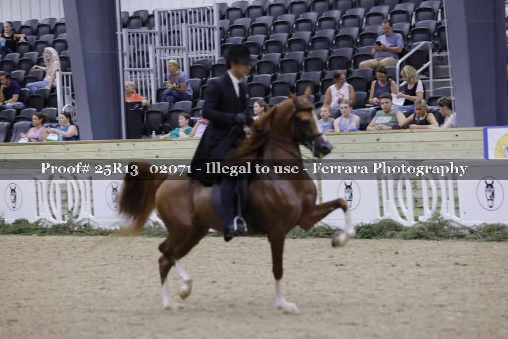 Proof Number 25R13_02071
