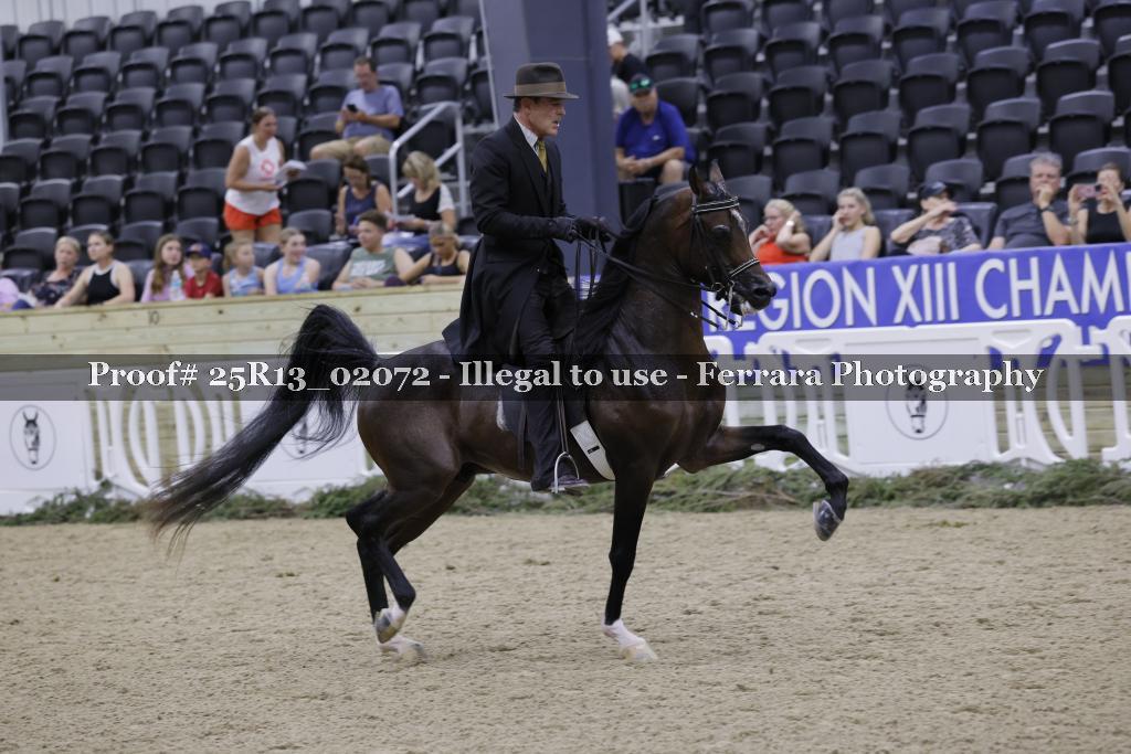 Proof Number 25R13_02072
