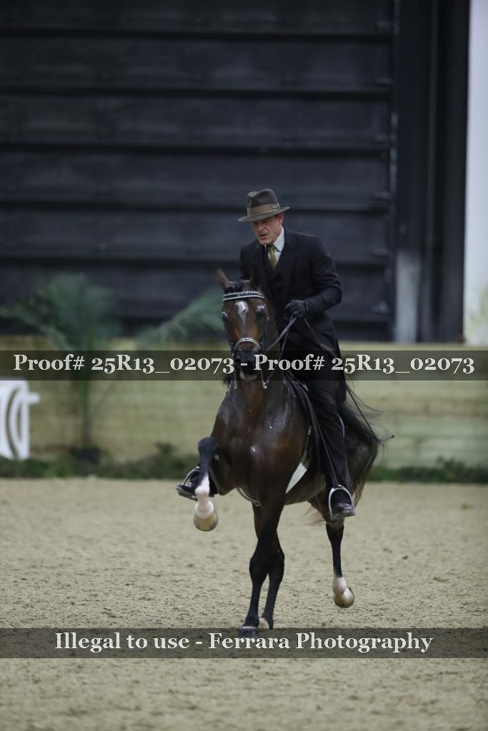 Proof Number 25R13_02073