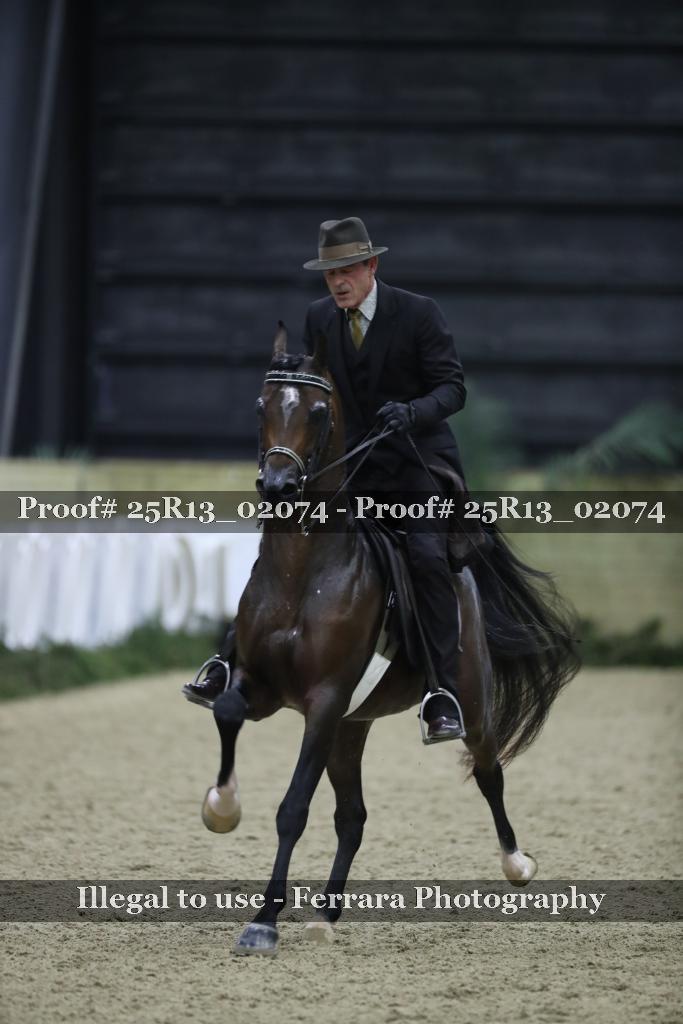 Proof Number 25R13_02074