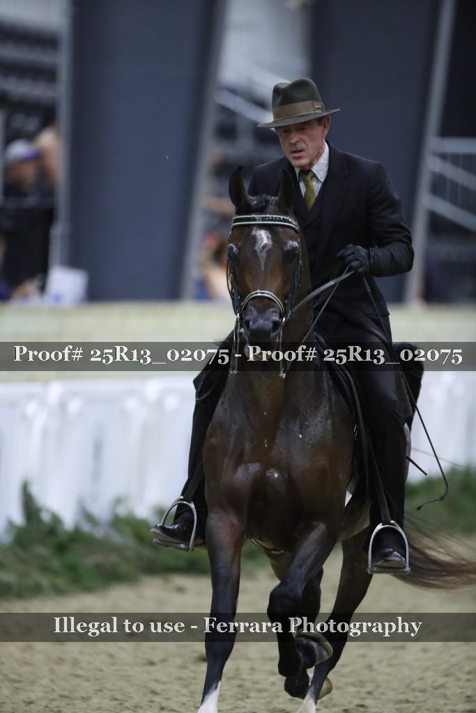 Proof Number 25R13_02075