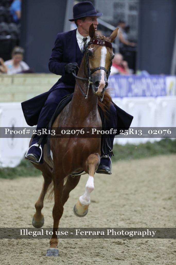 Proof Number 25R13_02076