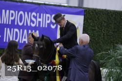 25R13_02078 thumbnail