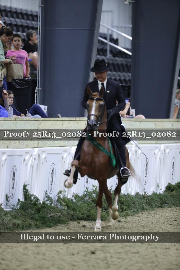 Proof Number 25R13_02082