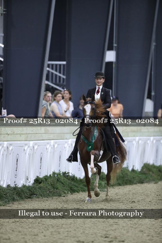Proof Number 25R13_02084