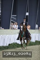 25R13_02084 thumbnail