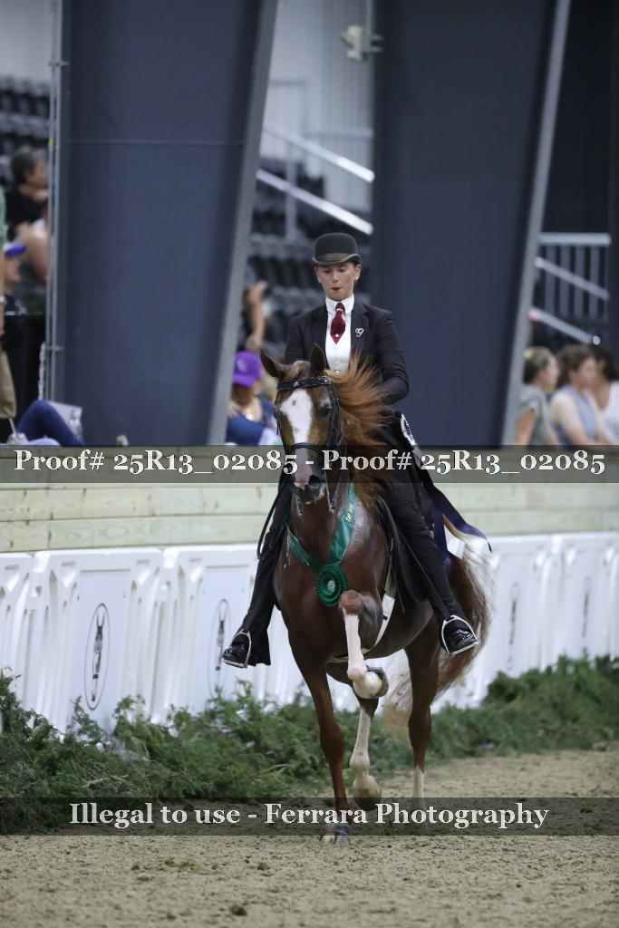 Proof Number 25R13_02085