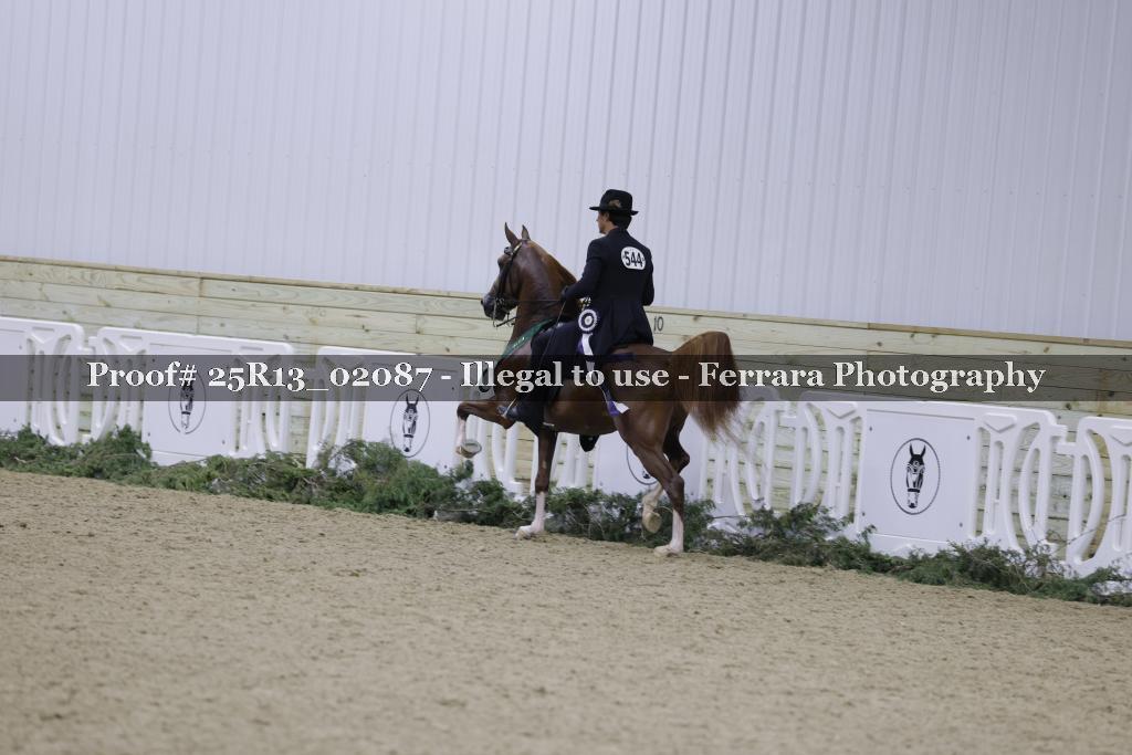 Proof Number 25R13_02087