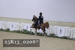 25R13_02087 thumbnail