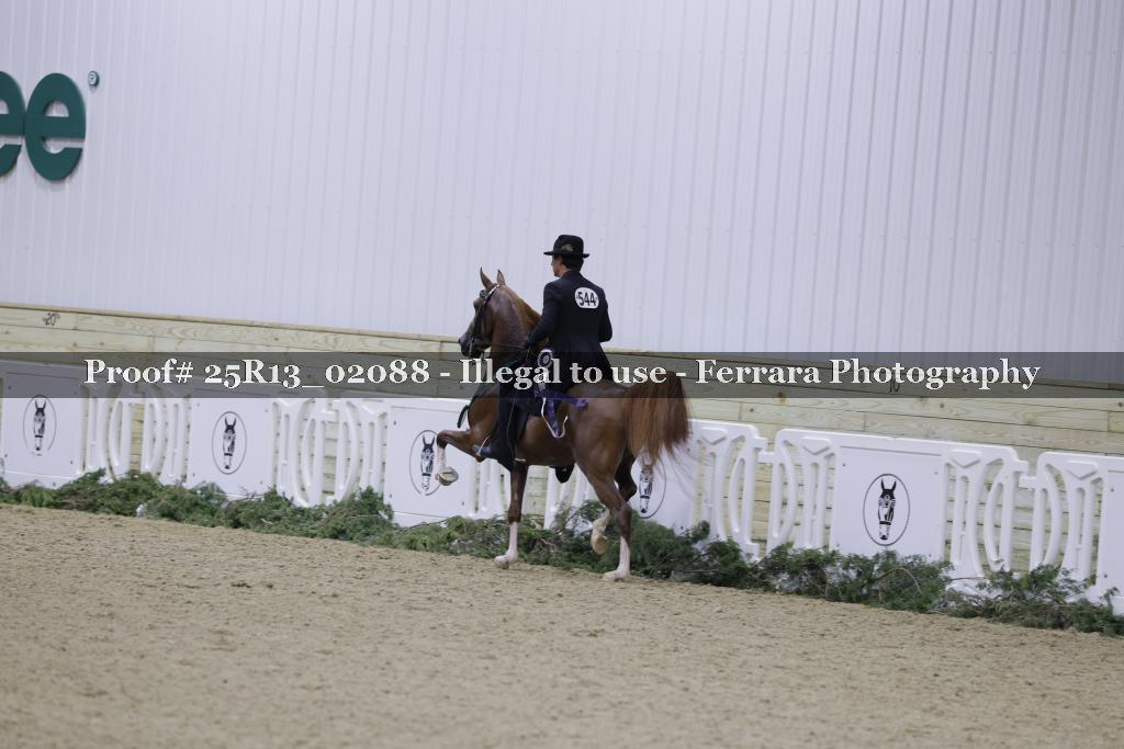 Proof Number 25R13_02088