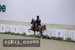 25R13_02088 thumbnail