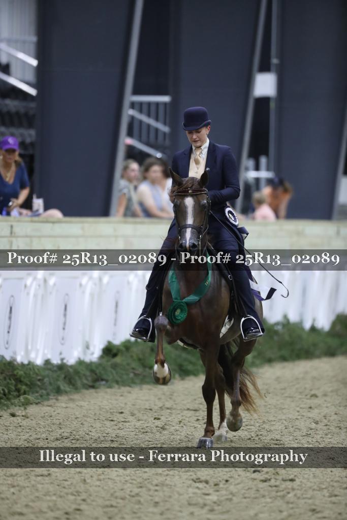 Proof Number 25R13_02089