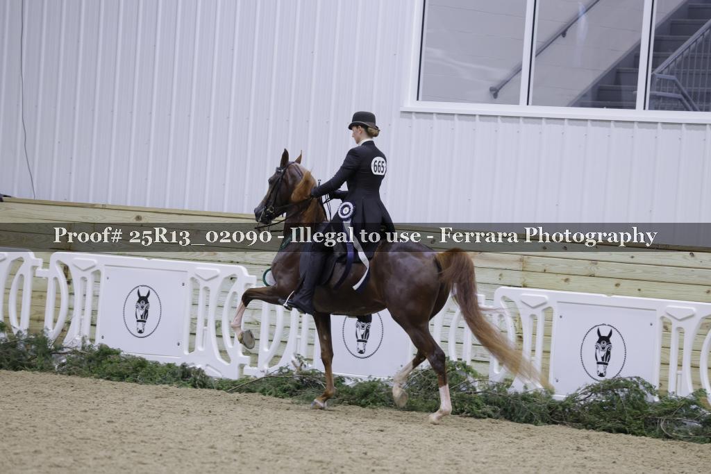 Proof Number 25R13_02090