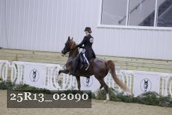 25R13_02090 thumbnail