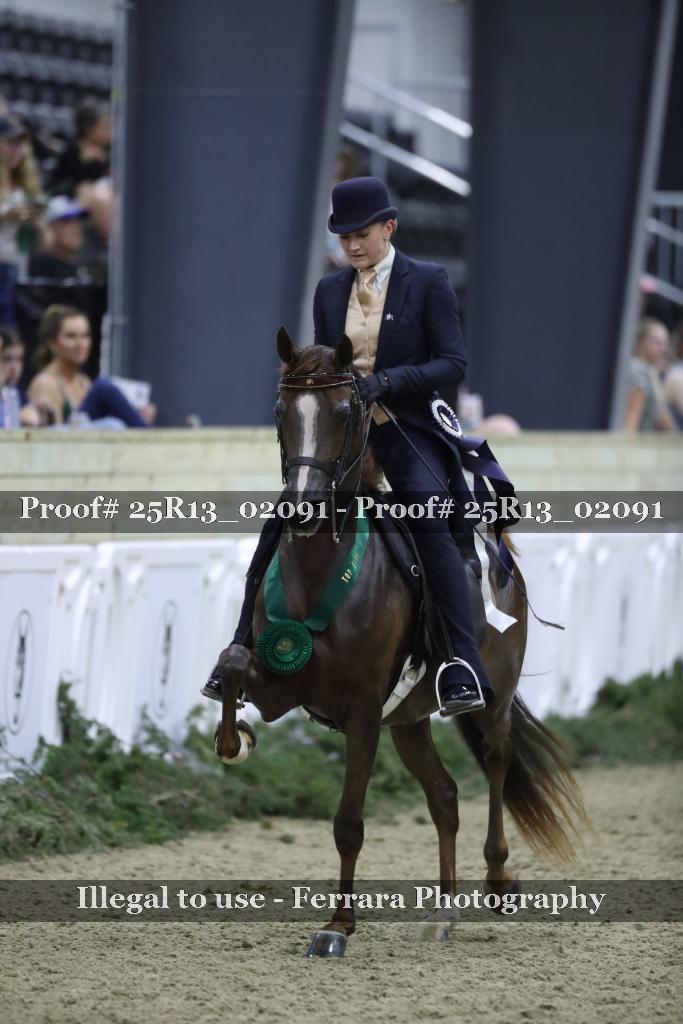Proof Number 25R13_02091
