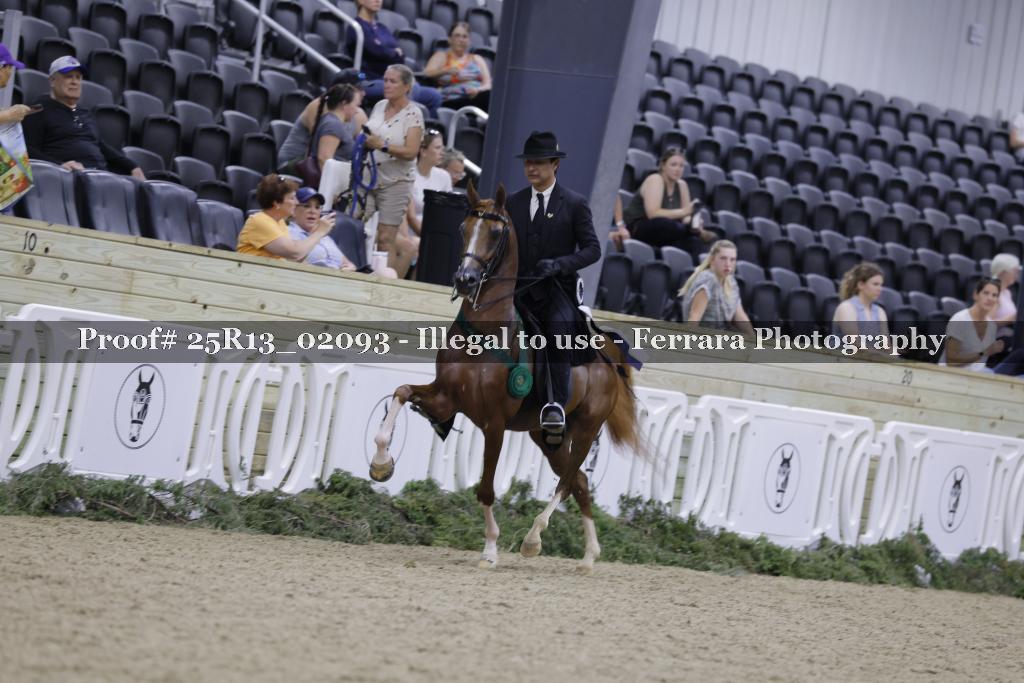Proof Number 25R13_02093