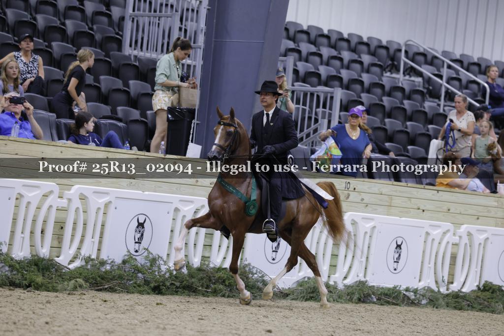 Proof Number 25R13_02094