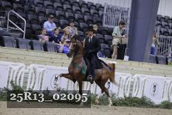 25R13_02095 thumbnail