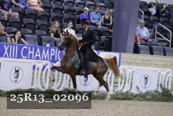 25R13_02096 thumbnail